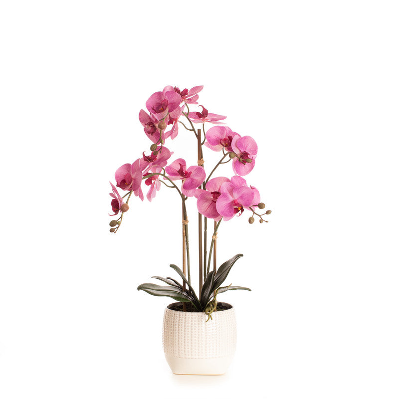 62cm Real Touch 3-stem Pink Phalaenopsis Orchid in Ceramic Pot